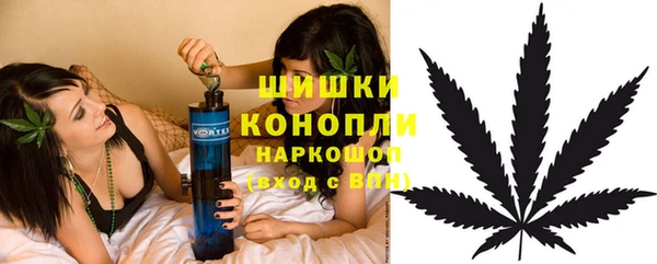 дурь Алзамай