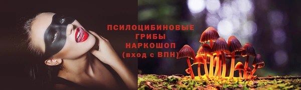 ГАЛЛЮЦИНОГЕННЫЕ ГРИБЫ Алексин