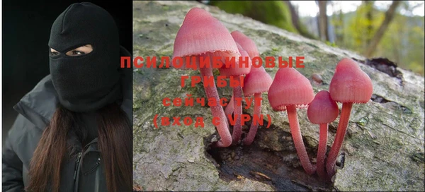 дурь Алзамай